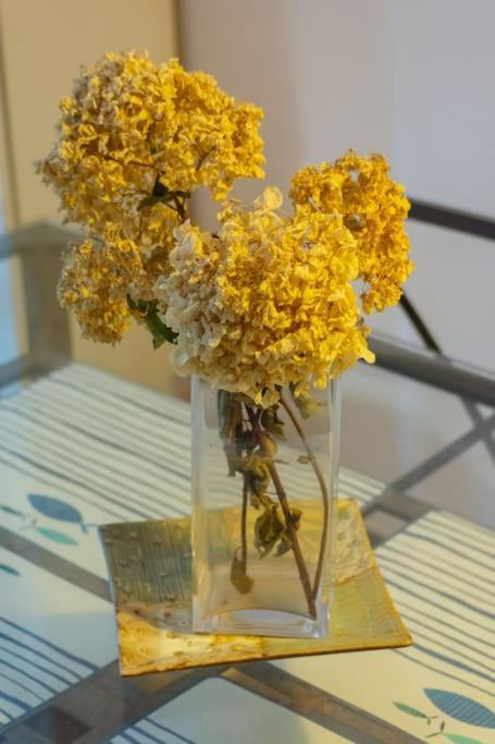 הוילה קודילרו La Casina Azul מראה חיצוני תמונה